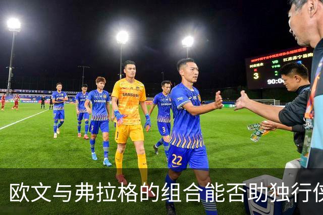 欧文与弗拉格的组合能否助独行侠重返巅峰？